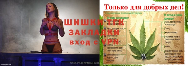 индика Армянск