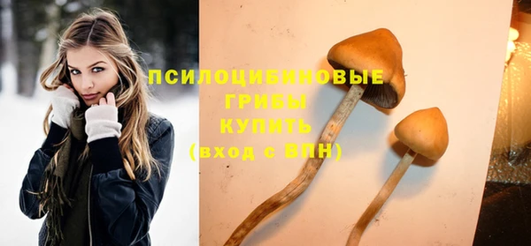 гашиш Арсеньев